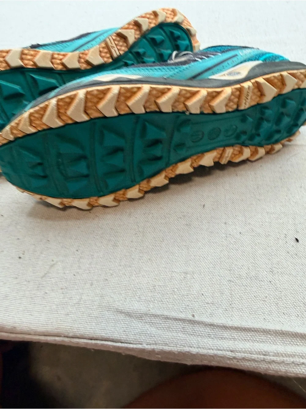 Brooks Cascadia 12